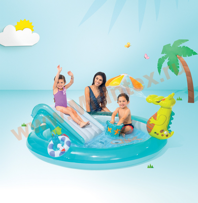    Intex 57165    20117084 