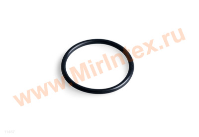 INTEX Уплотнительное кольцо для скиммера фильтрующих насосов