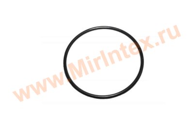 INTEX 11515 Уплотнительное кольцо для титанового электрода