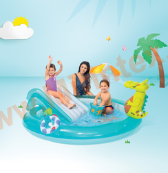    Intex 57165    20117084 