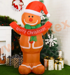     155 , 3D , , Christmas is coming,  ,    , IP44, 220